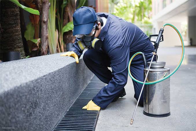 Protect Your Property with Professional Pest Control